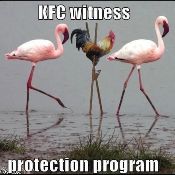 CLOSED GAME! SEE NEW #12 GAME Go To: Category, Women, Other! - Picture 10 of 16